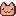 orange tabby cat face