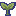 plant sprout