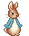 Brown bunny with blue jacket.