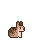 Brown baby bunny.