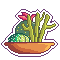 bowl-shaped plant pot with cacti